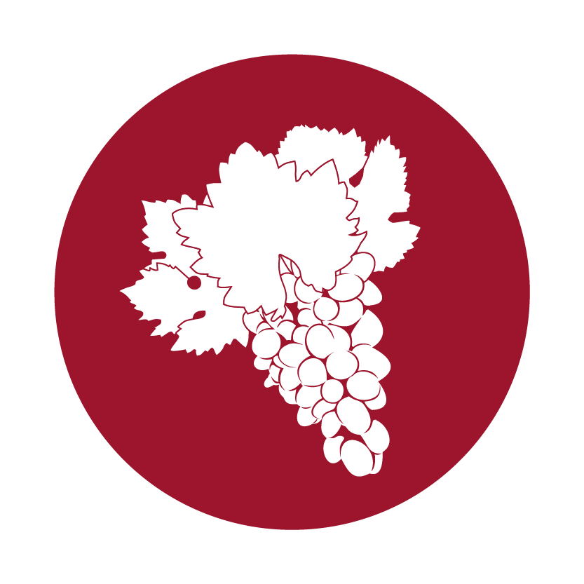 Favicon Hope Valley